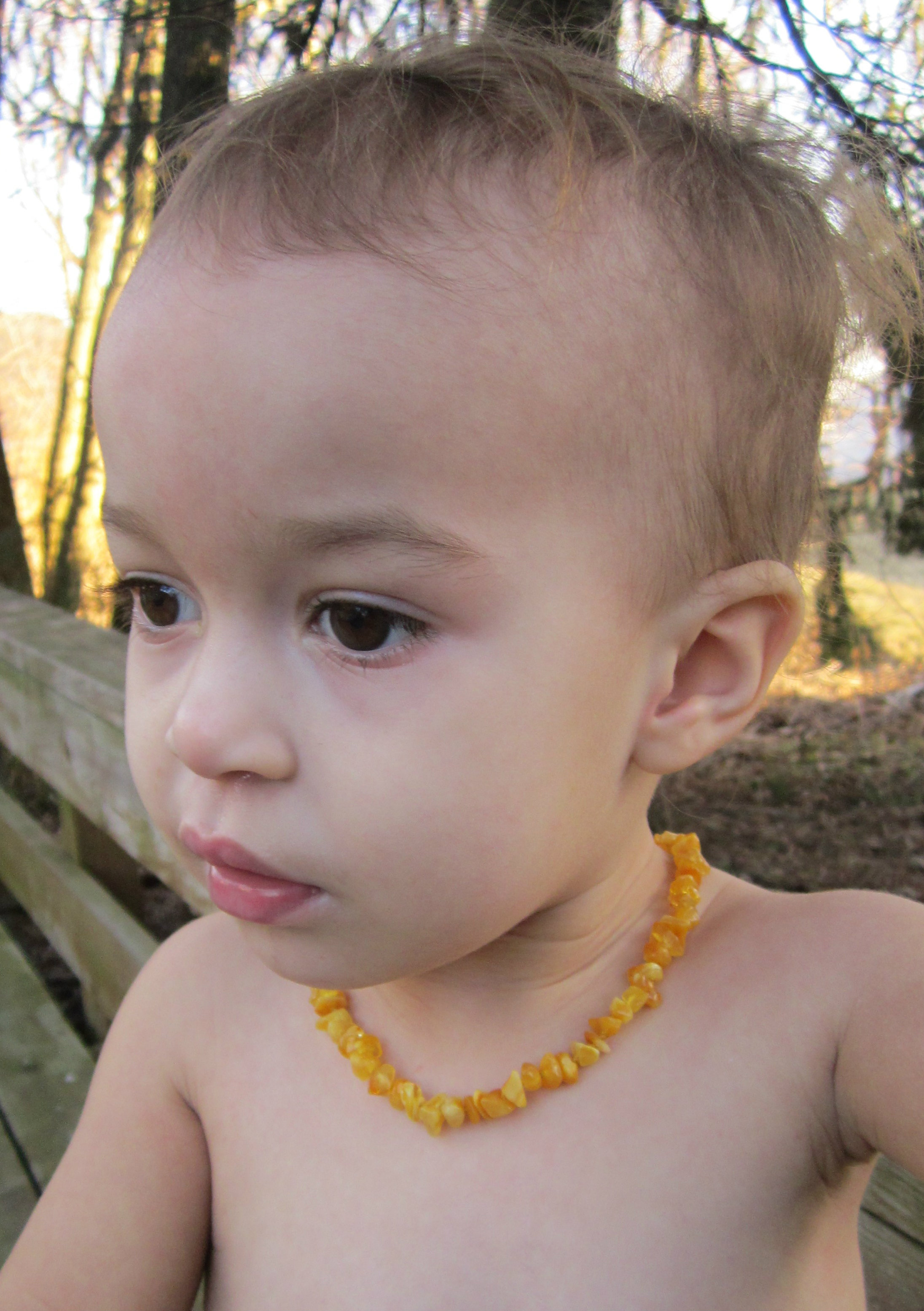Baltic Amber Teething Necklaces: Pictures with My One-Year ...